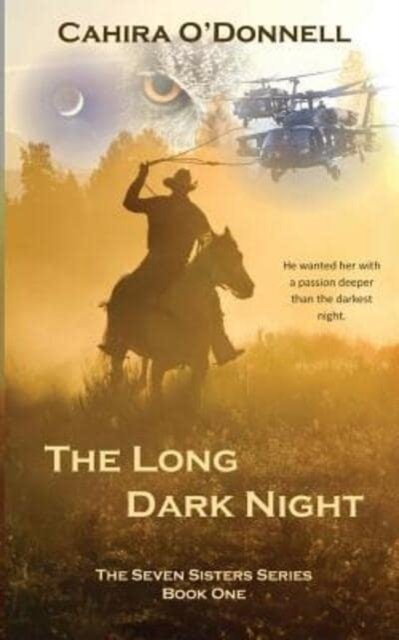 Cover for Cahira O'Donnell · The Long Dark Night (Paperback Book) (2013)