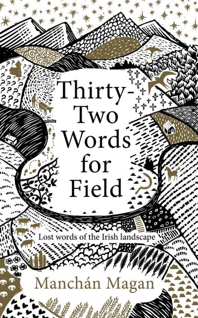 Cover for Manchan Magan · Thirty-Two Words for Field: Lost Words of the Irish Landscape (Hardcover Book) (2020)