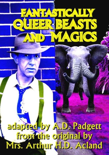 Cover for A D Padgett · Fantastically Queer Beasts and Magics (Paperback Book) (2015)