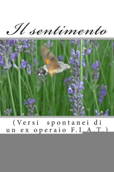 Cover for Gerardo Canini · Il Sentimento: (Versi Spontanei Di Un Ex Operaio F.i.a.t.) (Italian Edition) (Paperback Book) [Italian, 2 edition] (2014)