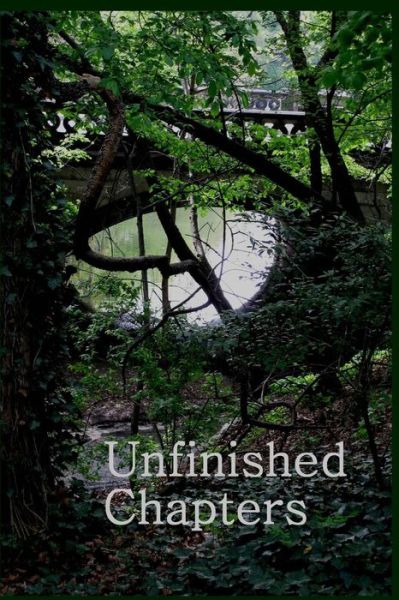 Cover for Christina Hamlett · Unfinished Chapters (Paperback Book) (2015)