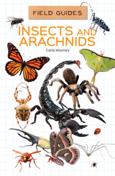 Cover for Carla Mooney · Insects and Arachnids (N/A) (2021)