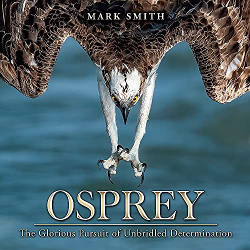 Cover for Mark Smith · Osprey (Innbunden bok) (2021)