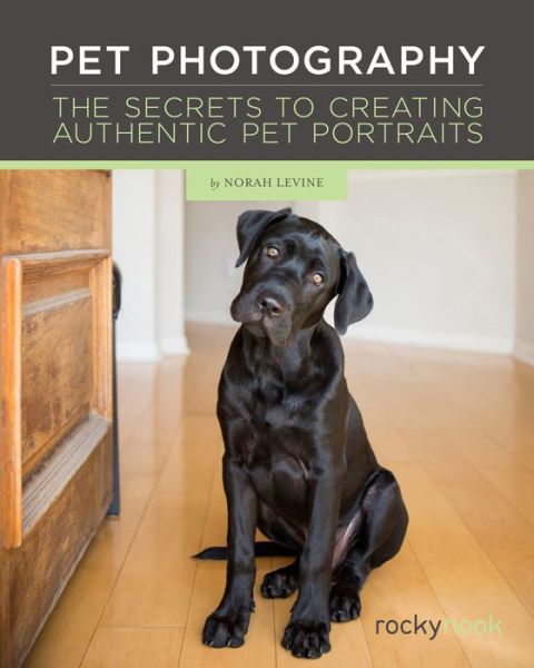 Cover for Norah Levine · Pet Photography: The Secrets to Creating Authentic Pet Portraits (Hardcover Book) (2016)