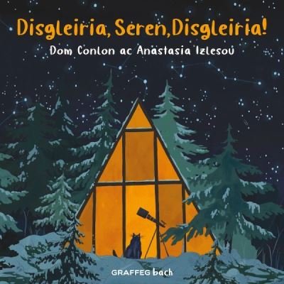 Cover for Dom Conlon · Disgleiria, Seren, Disgleiria! (Pocketbok) (2022)