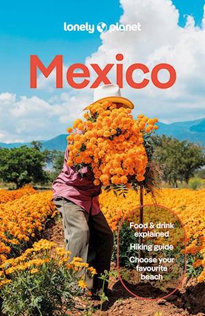 Cover for Lonely Planet · Lonely Planet Mexico - Travel Guide (Paperback Bog) [19th edition] (2025)