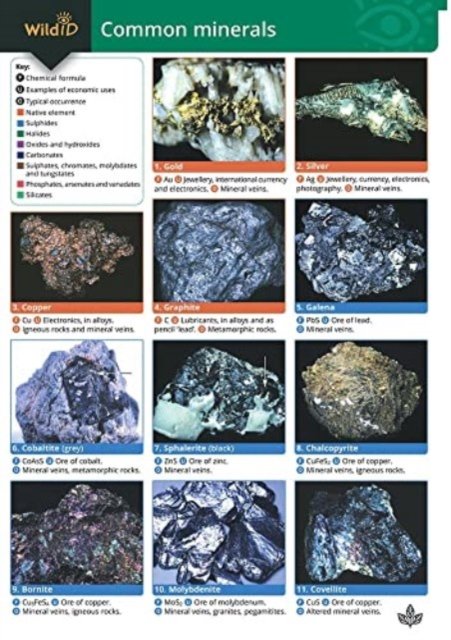Cover for Chris Pellant · Guide to Common Minerals (Map) (2004)