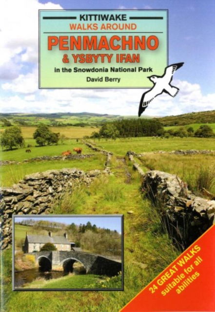 Walks Around Penmachno and Ysbyty Ifan in the Snowdonia National Park - David Berry - Books - Kittiwake Press - 9781902302973 - July 30, 2011