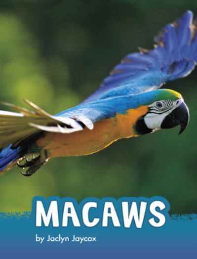 Cover for Jaclyn Jaycox · Macaws (Hardcover Book) (2021)