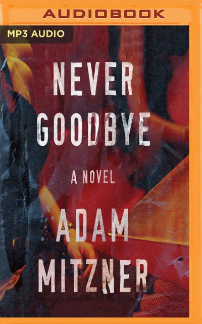 Cover for Adam Mitzner · Never Goodbye (MP3-CD) (2018)