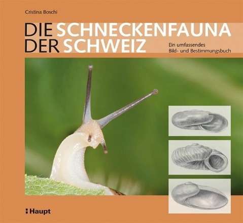 Cover for Boschi · Die Schneckenfauna Der Schweiz (Paperback Book)