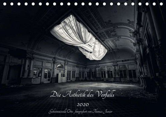 Cover for Junior · Lost in Decay 2020 - Die Ästheti (Buch)