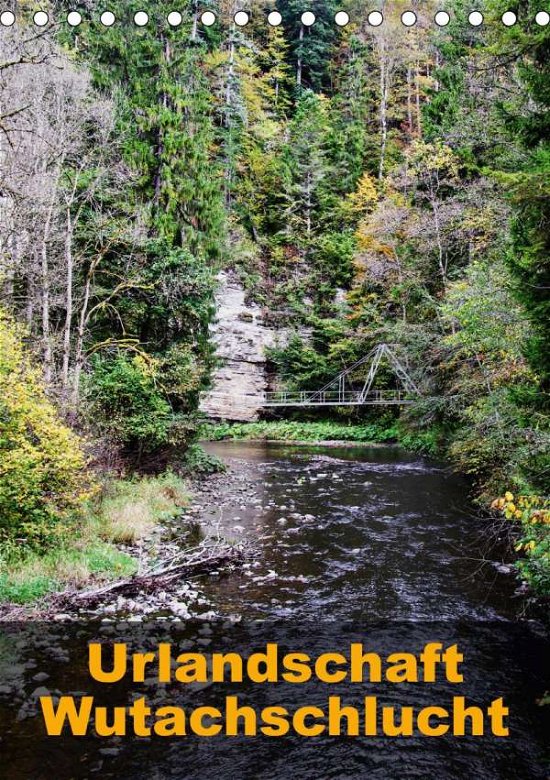 Cover for Hug · Urlandschaft Wutachschlucht (Tischk (Book)