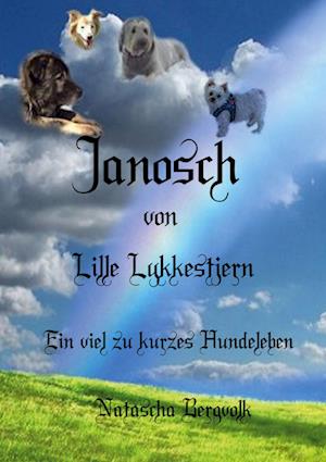 Cover for Natascha Bergvolk · Janosch vom Lykke Lykjestern (Hardcover Book) (2021)