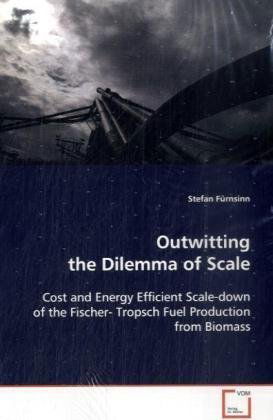 Cover for Stefan Fürnsinn · Outwitting the Dilemma of Scale (Paperback Book) (2008)