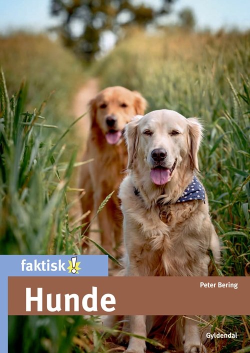 Cover for Peter Bering · Faktisk!: Hunde (Innbunden bok) [1. utgave] (2018)