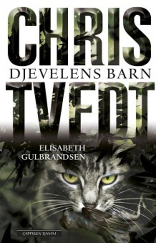 Cover for Chris Tvedt &amp; Elisabeth Gulbrandsen · Djævelens børn (Hæftet bog) [1. udgave] (2016)