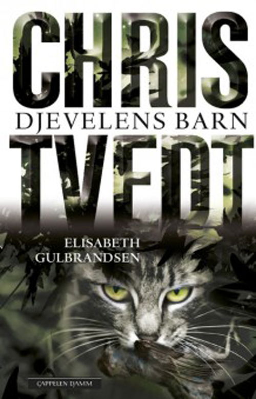 Cover for Chris Tvedt &amp; Elisabeth Gulbrandsen · Djævelens børn (Sewn Spine Book) [1. Painos] (2016)