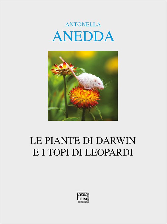 Cover for Antonella Anedda · Le Piante Di Darwin E I Topi Di Leopardi (Book)
