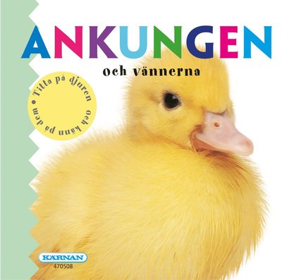 Cover for Karolina Hjertonsson · Ankungen och vännerna (Board book) (2018)