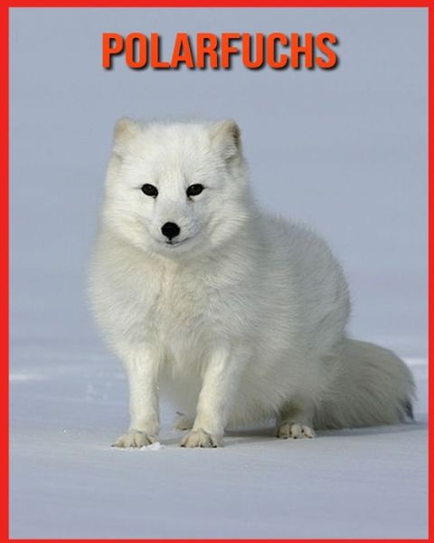 Cover for Linda Davis · Polarfuchs (Paperback Book) (2021)