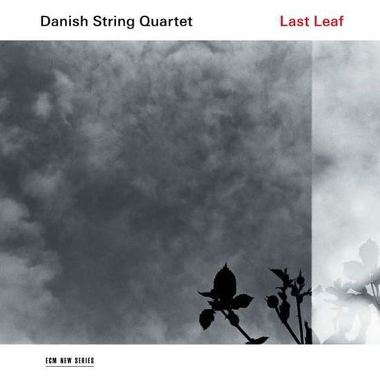 Last Leaf - Danish String Quartet - Musiikki - ECM NEW SERIES - 0028948164974 - perjantai 15. kesäkuuta 2018