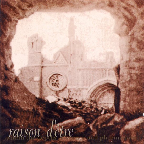 Cover for Raison D'etre · Within The Depths Of Silence And Phormation (LP) (2021)