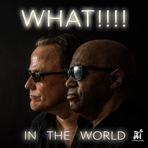 Cover for What!!!! · In The World (CD) (2025)