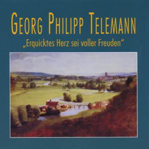 Erquicktes Herz Sei Voller Freuden - Telemann / Camerata Romana - Musique - BM - 4014513019974 - 17 octobre 2000