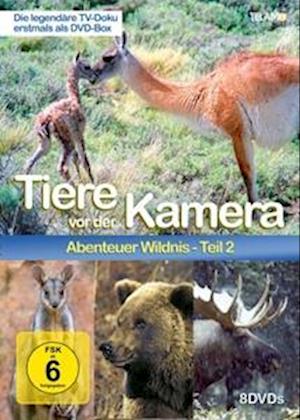 Cover for Tiere Vor Der Kamera · Tiere Vor Der Kamera - Abenteuer Wildnis 2 (DVD) (2024)