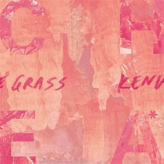 Cover for Cheatahs · Cut the Grass / Kentworth (7&quot;) (2013)