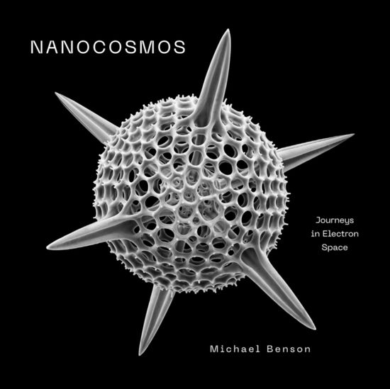 Cover for Michael Benson · Nanocosmos: Journeys in Electron Space (Hardcover Book) (2025)