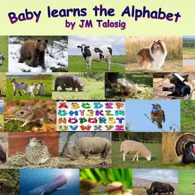 Cover for Jm Talosig · Baby Learns the Alphabet (Paperback Book) (2014)