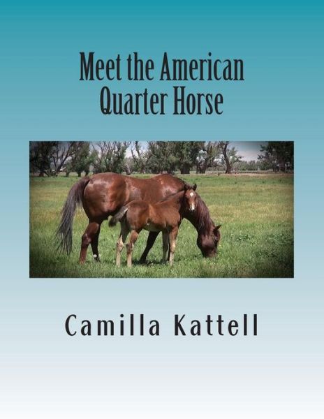 Cover for Camilla Kattell · Meet the American Quarter Horse (Paperback Book) (2014)