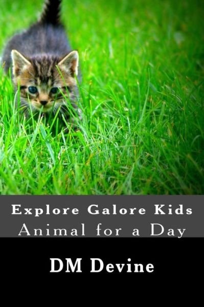 Cover for D M Devine · Animal for a Day: Explore Galore Kids (Paperback Bog) (2015)