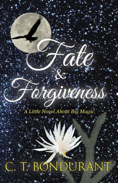 Cover for C T Bondurant · Fate &amp; Forgiveness (Pocketbok) (2016)