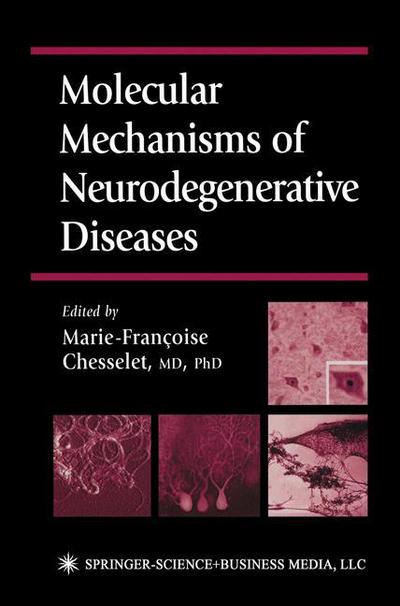 Cover for Marie-francoise Chesselet · Molecular Mechanisms of Neurodegenerative Diseases - Contemporary Clinical Neuroscience (Paperback Book) [Softcover reprint of hardcover 1st ed. 2001 edition] (2010)