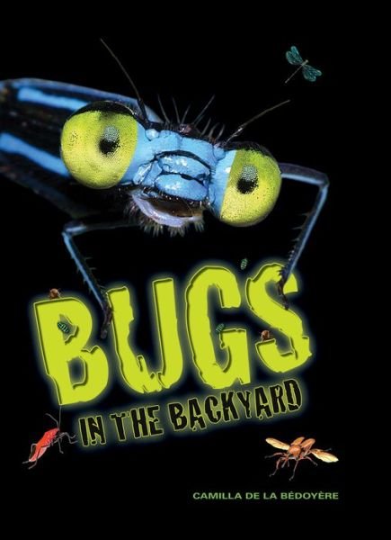 Cover for Camilla De la Bédoyère · Bugs in the backyard (Bog) (2016)