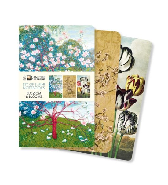 Cover for Flame Tree Studio · Blossoms &amp; Blooms Set of 3 Mini Notebooks - Mini Notebook Collections (Papperier) (2022)