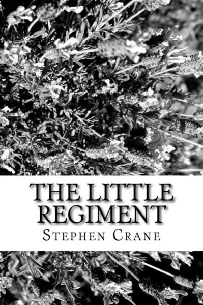 Cover for Stephen Crane · The Little Regiment (Paperback Book) (2018)