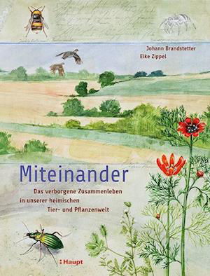 Cover for Johann Brandstetter · Miteinander: Das verborgene Zusammenleben in unserer heimischen Tier- und Pflanzenwelt (Bog) (2022)