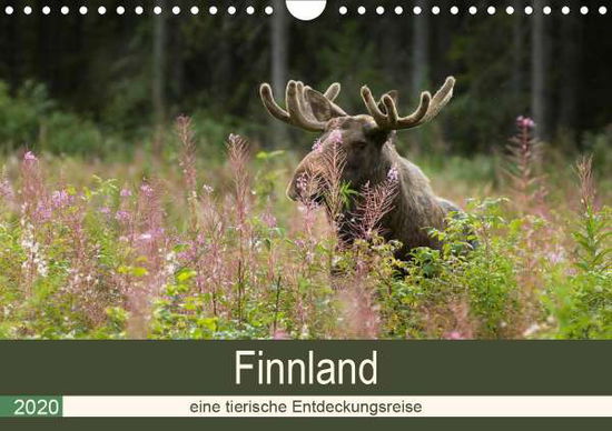 Cover for Wünsch · Finnland: eine tierische Entdeck (Book)