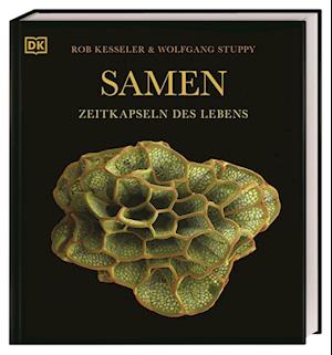 Cover for Wolfgang Stuppy · Samen (Buch) (2024)