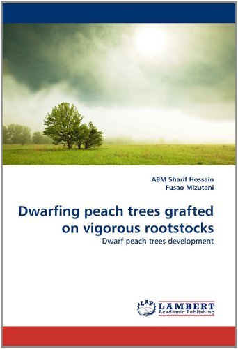 Cover for Fusao Mizutani · Dwarfing Peach Trees Grafted on Vigorous Rootstocks: Dwarf Peach Trees Development (Paperback Book) (2011)