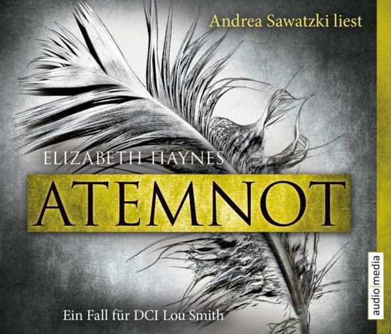 Cover for Haynes · Atemnot, (Book)