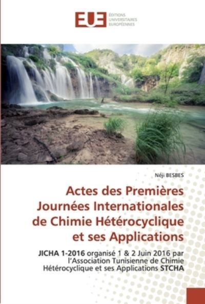 Cover for Besbes · Actes des Premières Journées Int (Book) (2020)