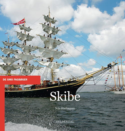 Cover for Nils Hartmann · De små fagbøger: Skibe (Hæftet bog) [1. udgave] (2012)