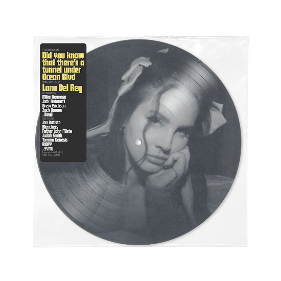 Cover for LANA DEL REY · Did You Know That There's Tunnel Under Ocean Blvd (LP) [Picture Disc edition] (2023)