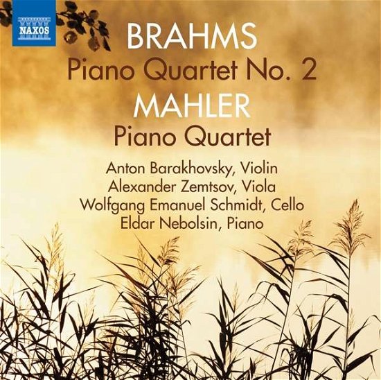 Piano Quartet No.2/piano Quartet - Brahms / Mahler - Musik - NAXOS - 0747313279975 - 1 februari 2017