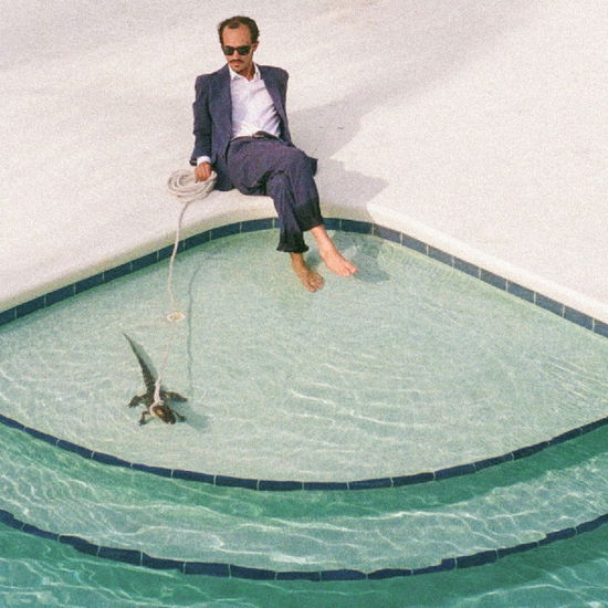 Cover for Pwnt · Days In The Summer (LP) (2022)